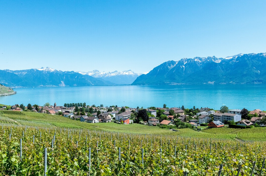 swiss lake pollution study