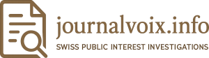journalvoix.info